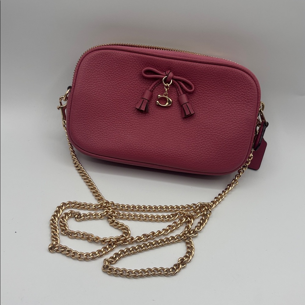 Coach Crossbody Pouch Handbag with Chain Strawberry